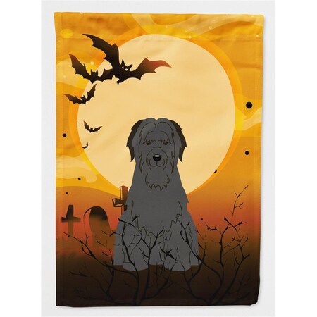 Carolines Treasures Halloween Briard Black Flag Canvas House Size BB4347CHF